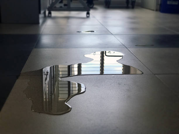Best Carpet water damage restoration  in Midlothian, IL