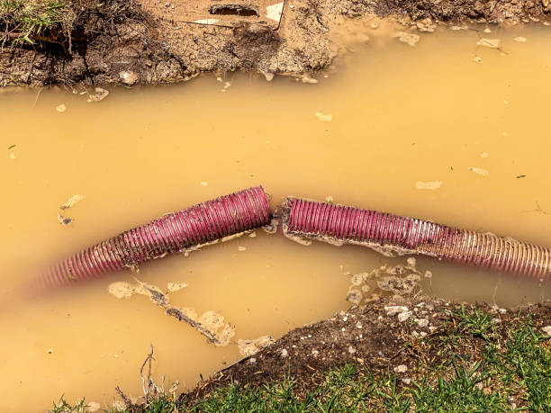 Best Water damage restoration near me  in Midlothian, IL