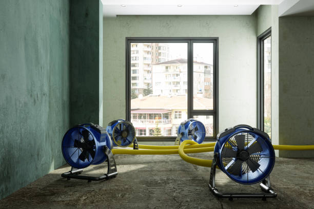 Best 24/7 water damage repair  in Midlothian, IL