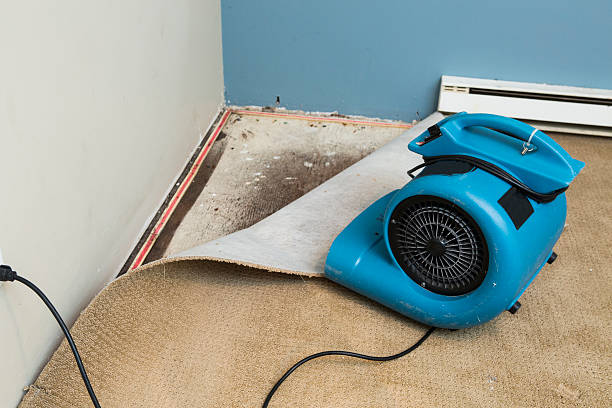 Best Local water damage restoration  in Midlothian, IL